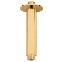 Sprchové rameno RAV SLEZÁK kartáčovaná zlatá MD0311ZK