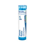 Boiron CALCAREA FLUORICA CH9 granule 4 g