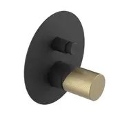 Sapho Ultratap - Baterie pod omítku, pro 2 spotřebiče, s tělesem, matná černá/matná zlatá UT042TBG