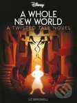 Disney Princess Aladdin: A Whole New World - Liz Braswell - kniha z kategorie Pro děti