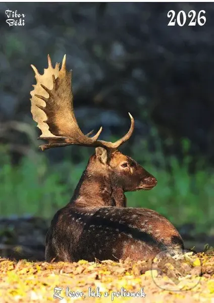 Z lesov lúk a polianok (Nástenný kalendár na rok 2026)