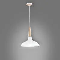 Závěsné svítidlo Doro 60005 LW1