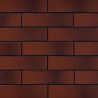 Fasádní obkladový kámen hladký Cien burg.  24,5/6,5