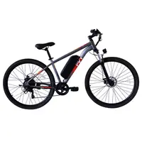 PVY M29 Electric Bike 250W 48V 17.5Ah 25km/h Grey