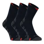 VoXX 3PACK ponožky modré (Gastl) L