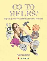 Co to meleš? - Kostka Aneta, Stinková Huyen - e-kniha
