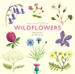 The Little Guide to Wildflowers - Alison Daviesová