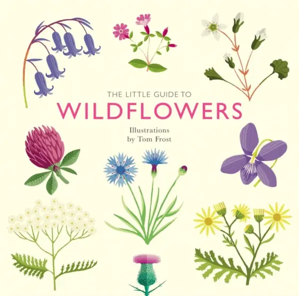 The Little Guide to Wildflowers - Alison Daviesová