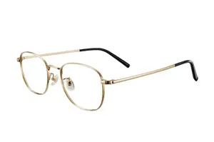 Xiaomi Blue Light Blocking Glasses (Gold)