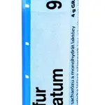 Boiron SULFUR IODATUM CH9 granule 4 g