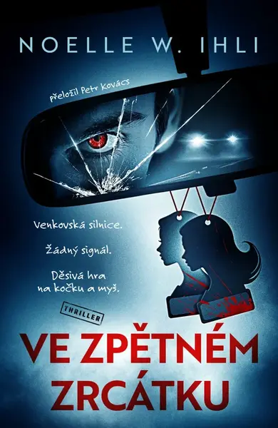 Ve zpětném zrcátku - Noelle W. Ihli