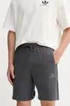 Šortky adidas Seasonal AOP