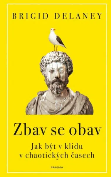 Zbav se obav (Defekt) - Brigid Delaney