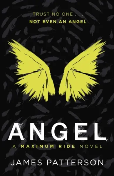 Angel: A Maximum Ride Novel - James Patterson