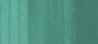 Copic Ciao marker – G17 Forest Green