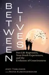 Between Lives - Andy Tomlinson, Reena Kumarasingham