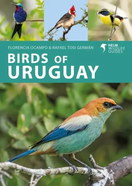 Birds of Uruguay - Florencia Ocampo, Rafael Tosi German