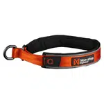 NON-STOP Dogwear Cruise obojek pro psy oranžový, Velikost: M