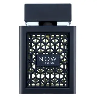 Rave Now Intense parfémovaná voda pro muže 100 ml