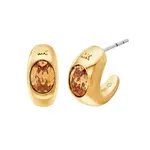 Náušnice Michael Kors MKJ8479710