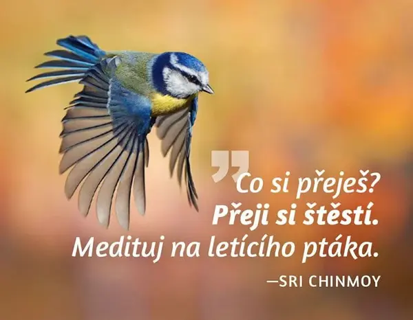 Magnet na lednici Medituj na Štěstí - Sri Chinmoy