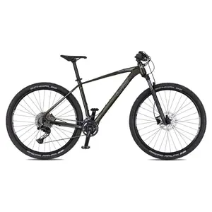 Horské kolo 4EVER Firetrack 29'' 10.0 XL (21", 185-202 cm) pearl black / hologram