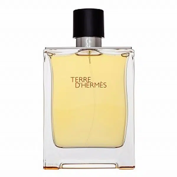 Hermès Terre D'Hermes toaletní voda pro muže 200 ml