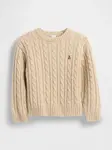 GAP Baby CashSoft Sweater - Guys