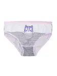 Panties-BR-MT-6873-white-pink