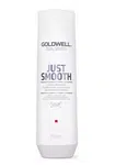 Šampon pro uhlazení vlasů Goldwell Dualsenses Just Smooth - 250 ml (202889) + dárek zdarma