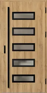 Ocelové vchodové dveře RODING 1