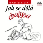 Jak se dělá chalupa (CD) - František Nepil