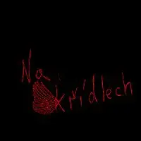 ŠAMAT – Na křídlech