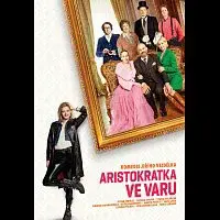 Různí interpreti – Aristokratka ve varu DVD