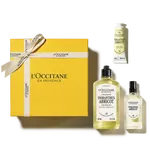 Trio Osmanthus Abricot (Osmanthus)