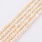 Natural Cultured Freshwater Pearl Beads Strands