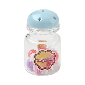 Lollipop with Bottle Resin Miniature Ornaments