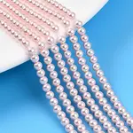 Baking Paint Pearlized Glass Pearl Bead Strands
