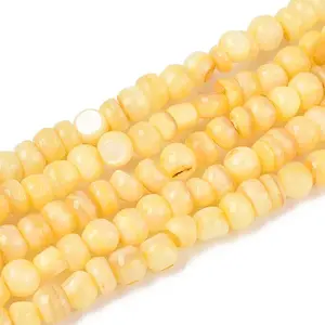 Natural Freshwater Shell Dyed Beads Strands