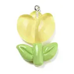 Translucent Resin Pendants
