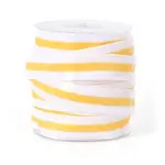 Polyester Ribbon