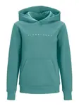 Jack & Jones Junior Mikina 'JJEStar'  modrozelená / biela