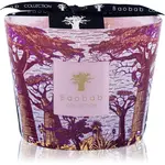 Baobab Collection Sacred Trees Massasso vonná svíčka 10 cm