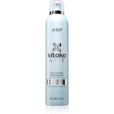 ASP kitoko Arte Extend Dry Shampoo suchý šampon 300 ml