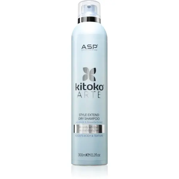 ASP kitoko Arte Extend Dry Shampoo suchý šampon 300 ml