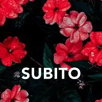 Subito – SUBITO