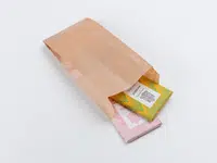 500 ks - Papírový sáček 100x220mm s bočními sklady 50mm, nosnost 0,5kg