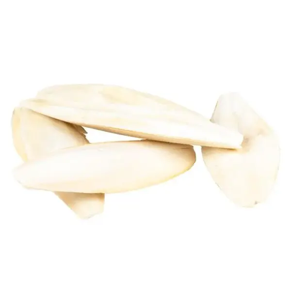 DUVO+ Originálna sepiová kosť sypaná 5kg +/- 15-28cm