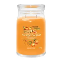 YANKEE CANDLE vonná sviečka 567g Farm Fresh Peach