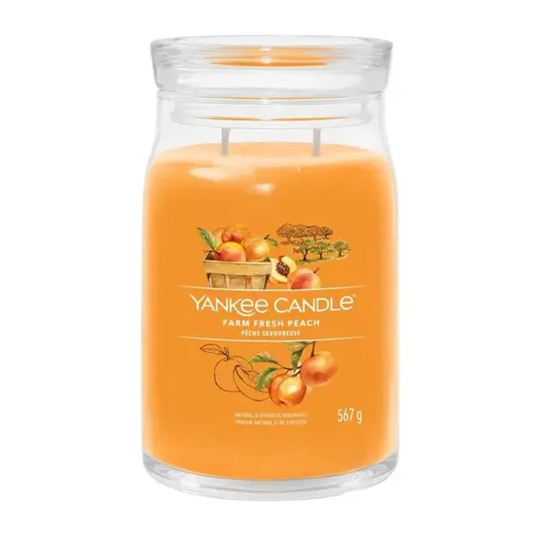 YANKEE CANDLE vonná sviečka 567g Farm Fresh Peach
